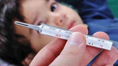 Bahaya Flu Singapura