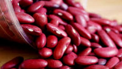 5 Manfaat Kacang Merah Untuk Kesehatan Tubuh