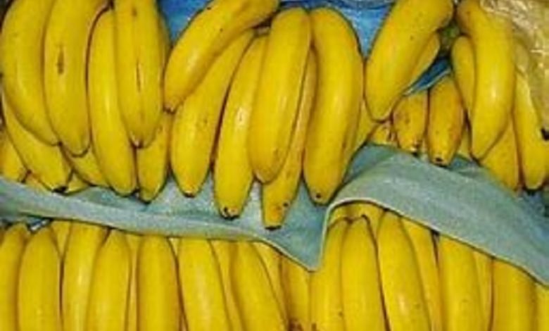 Fakta Buah Pisang. Obat Konstipasi Buat Bayi